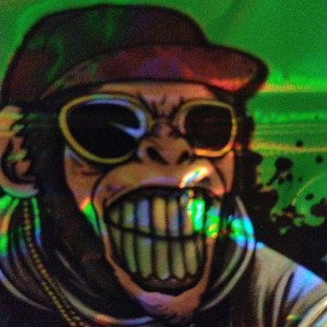 freestyle for doski , Denaro 