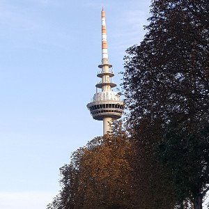 immer meinem Leben hinterher 