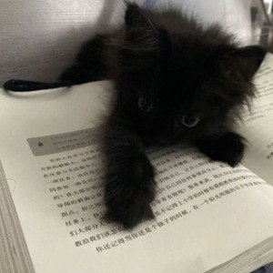 Школа