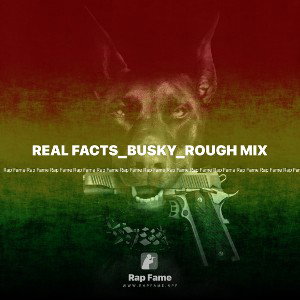 REAL FACTS_BUSKY_ROUGH MIX 