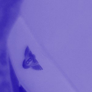 DTFT (Slowed + Reverb)