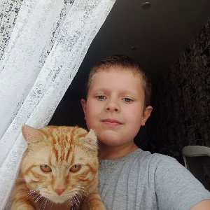 кот