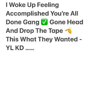 Went Legit Remix