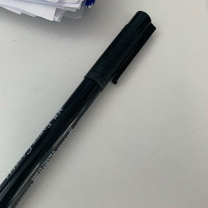 the pen