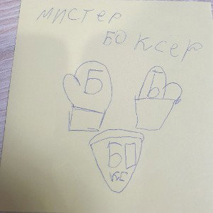 Мистер боксер