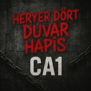 HERYER DÖRT DUVAR HAPİS 