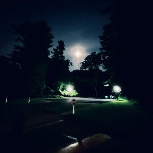 Moonlight