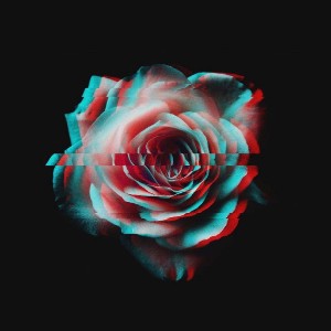 The Glitched Rose 