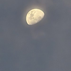 moon Ah bot