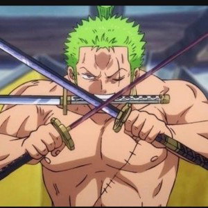 Zoro Freestyle 