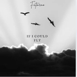 if i could fly