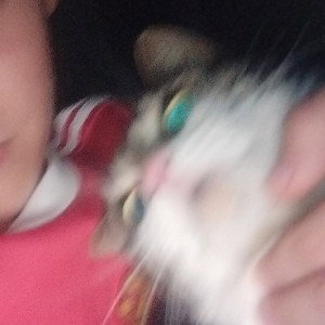 эй
