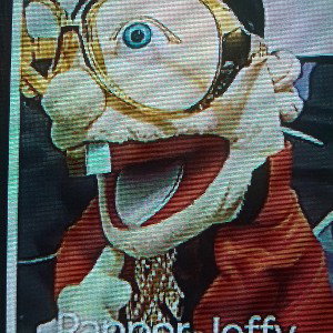Jeffy 
