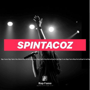 SpiNTacoZ