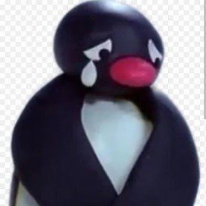 Noot Noot