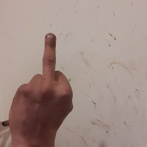 Middle Finger's In Da Air