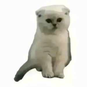 нет пожалуйста не ставте два