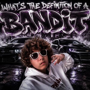 whats the definition of a bandit 