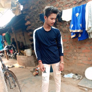 desi de trip the