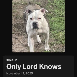 Only lord knows