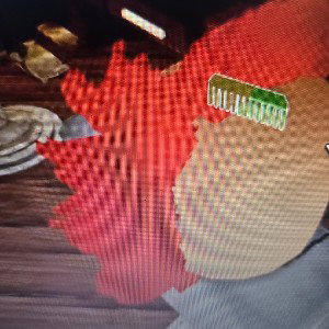 Bloody Bag