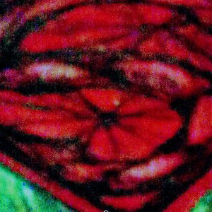 J5 zHerov