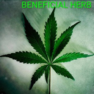 BENEFICIAL HERB
