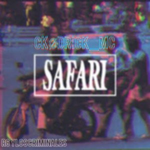 ✨SAFARI✨