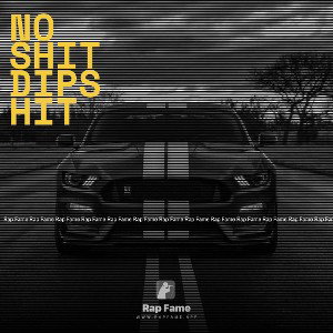 no shit dipshit