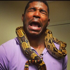 Them Snake's 
