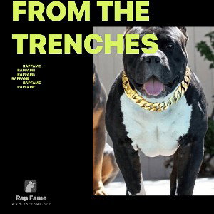 from the trenches