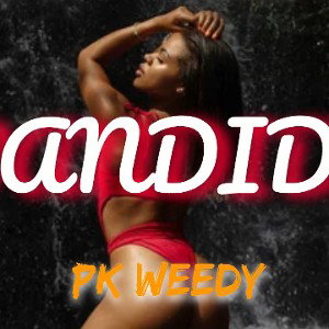 BANDIDA