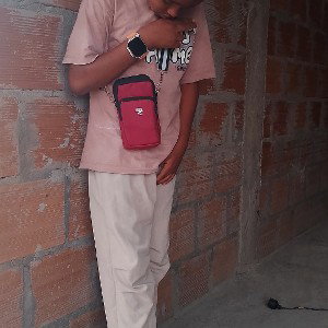 Dilan 66