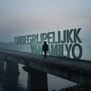 Onbegrijpelijk