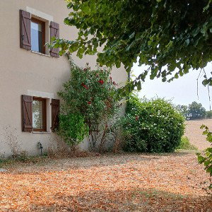 The nature of home