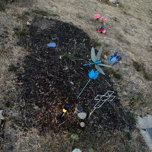 Freestyle At Ya Grave