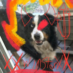 XxWinstonxX 