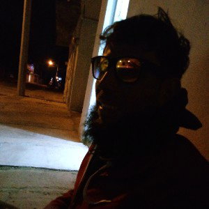 Perro callejero