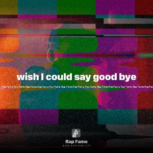 wish I could say good bye