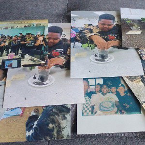 pictures