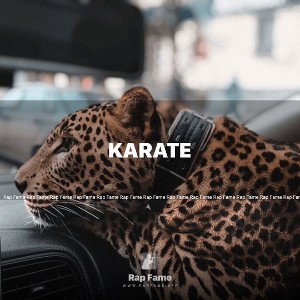 karate 