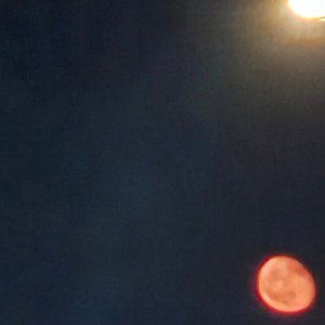 No edit
