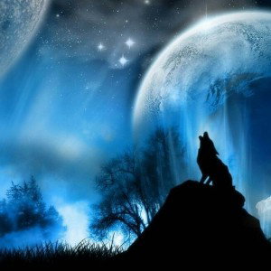 MoonDance
