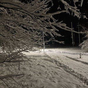 январь