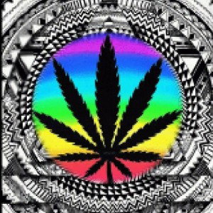 Gimme the Shovel, Gimme the Drill (frstyl N⁰.:X)