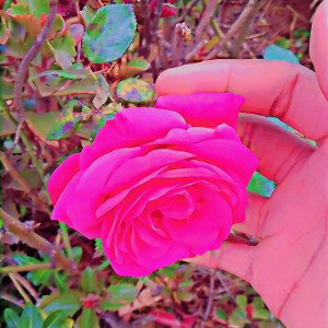 thought's