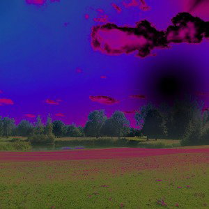 REST 4U- CANCELLED THORNS ALBUM