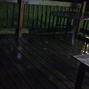 she don't want to be alone 