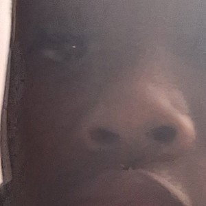 ( Blake branche diss)