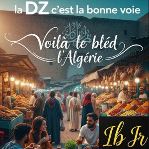 La Dz c'est la bonne voie 